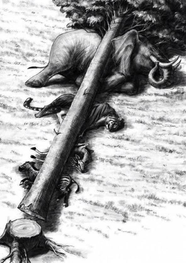 justarpan's tweet photo. destroying tree not only kills the tree..along with it kills animals & humans too #MindIt #SaveTreeSaveWorld https://t.co/YwtEBn6lEs