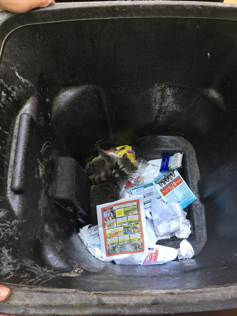 DJRusty64's tweet image. Found something else in the #garbage this morning.