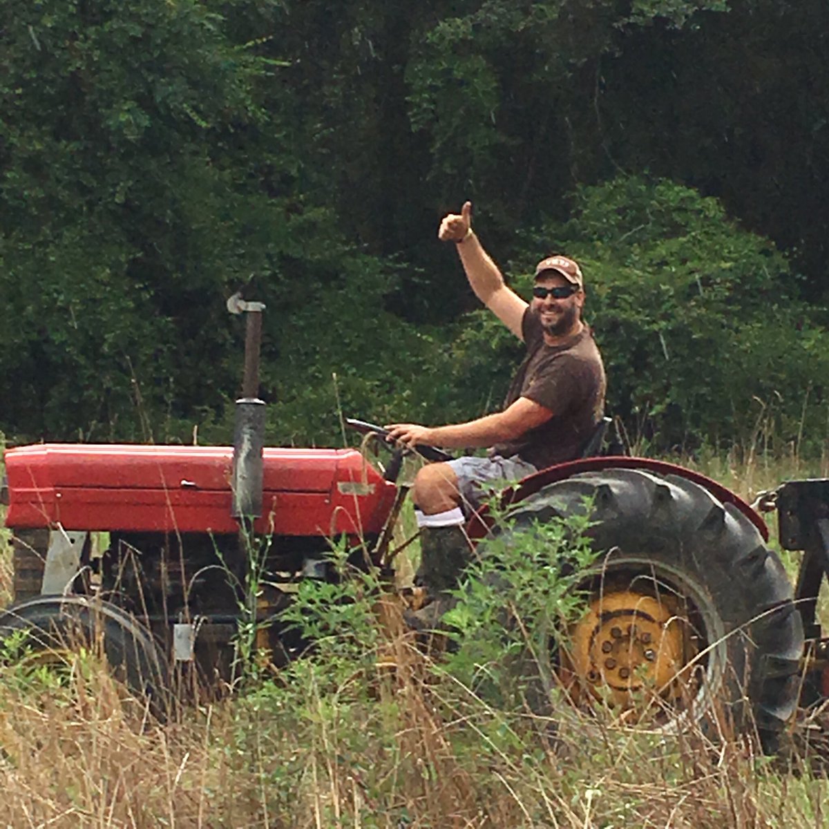 HuntsofHarrell's tweet photo. Ya'll know what time it is. #DeerSeasonIsComing #foodplotting #farming #alabama #hunting #summer https://t.co/VcClDtGA3o