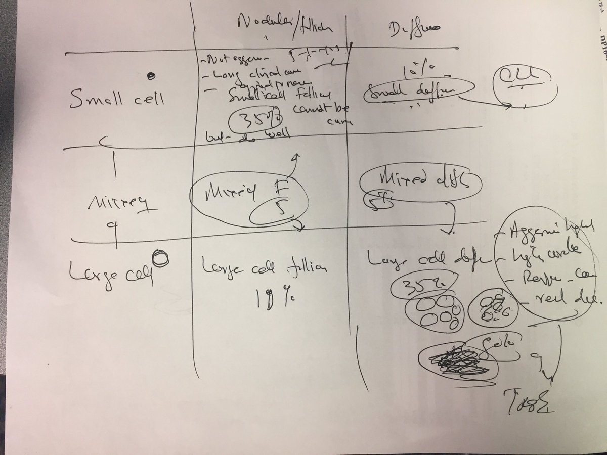 bpatel095's tweet photo. Looking over notes that the doctor wrote for me, but can't read half of it #clinicalshadowing https://t.co/4FzuspClSY