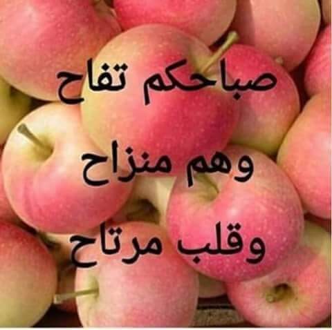 مصطفى فاروق (@mostafafarok08) on Twitter photo 