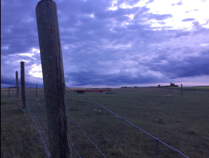 SweetCurling's tweet photo. #wcsask #mybackyard #myphotography #amazing #natural #photography #uncut #unedited #gallery #thirtyone https://t.co/1D1kIw4nn5