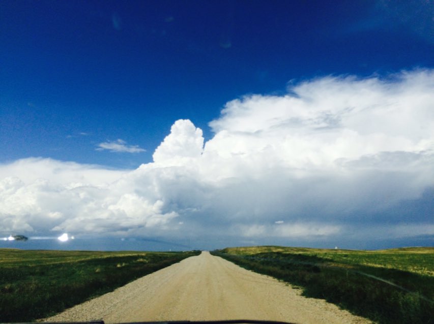 SweetCurling's tweet photo. #wcsask #mybackyard #myphotography #amazing #natural #photography #uncut #unedited #gallery #thirtyone https://t.co/1D1kIw4nn5