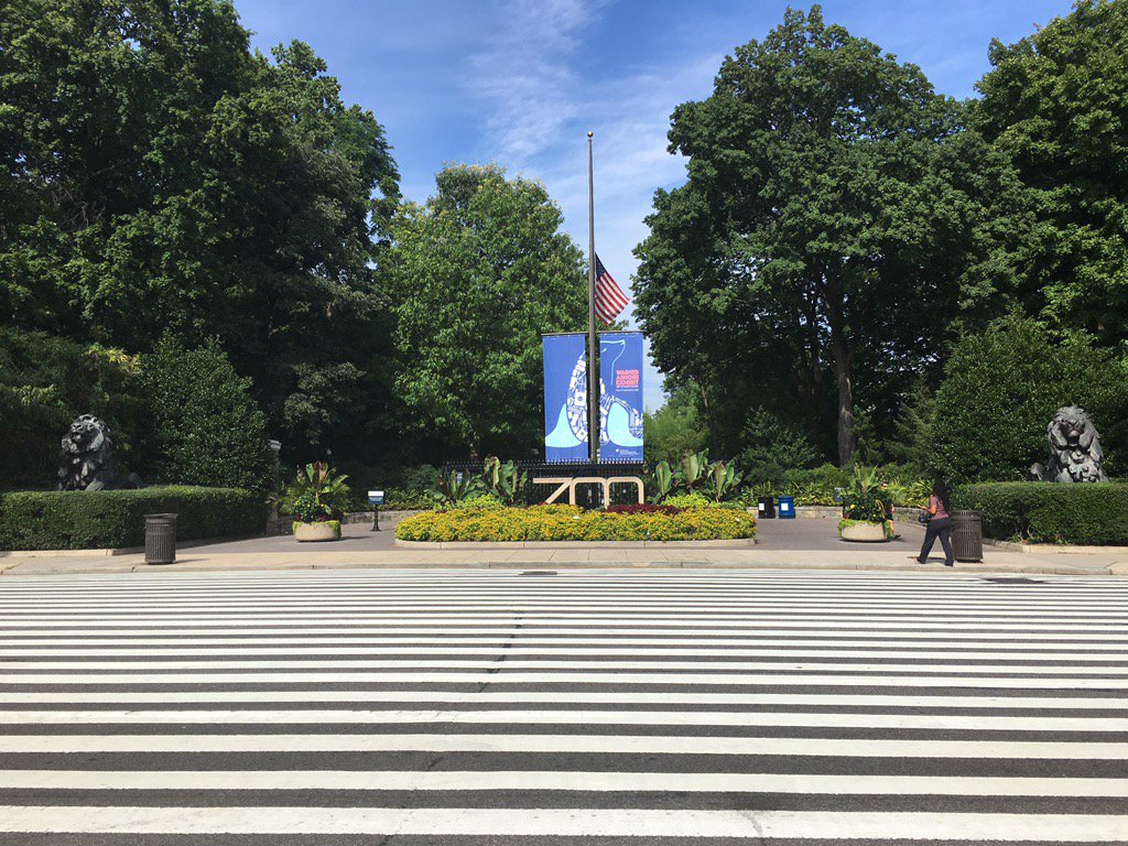 sarahwchan's tweet photo. oh &amp; I'm in DC! here's my office for the next 6 months! @smithsonian @nationalzoo #AHRCIPS #theysavespecies #Iaskwhy https://t.co/QIsv6vByNe