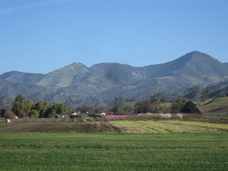 Debra Greene tweet media