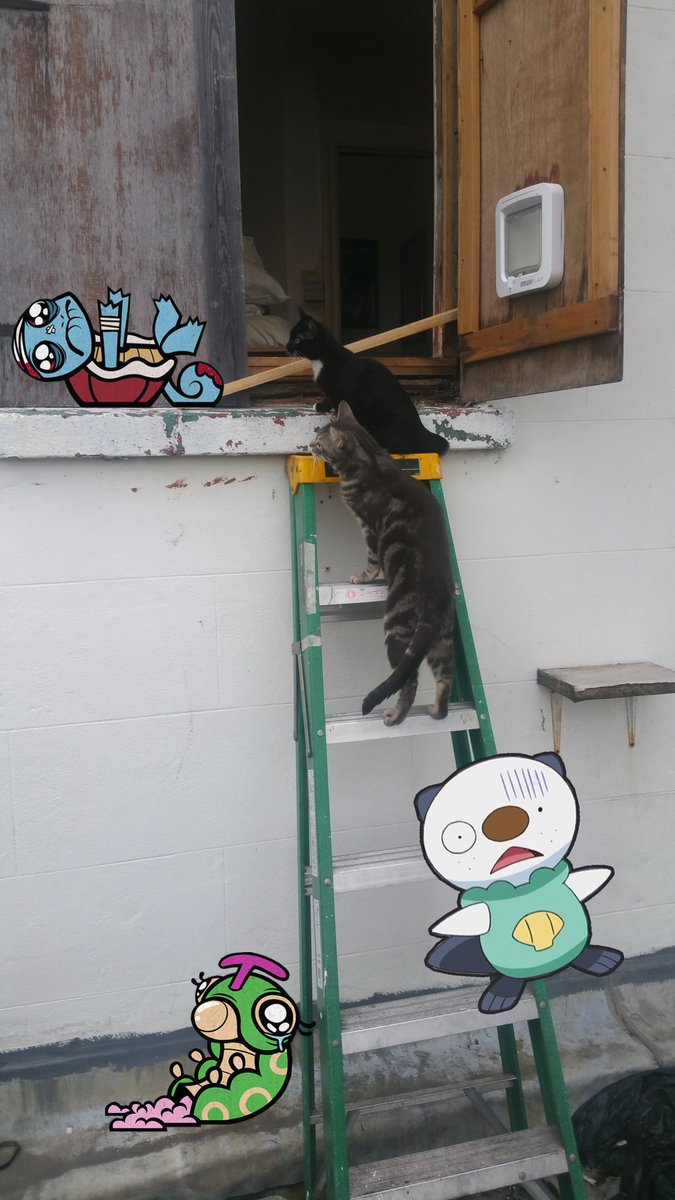 CormacEd's tweet image. Even my hipster cats are playing @PokemonGoApp #PokemonGO #cats #CatsOfTwitter #catsofinstagram