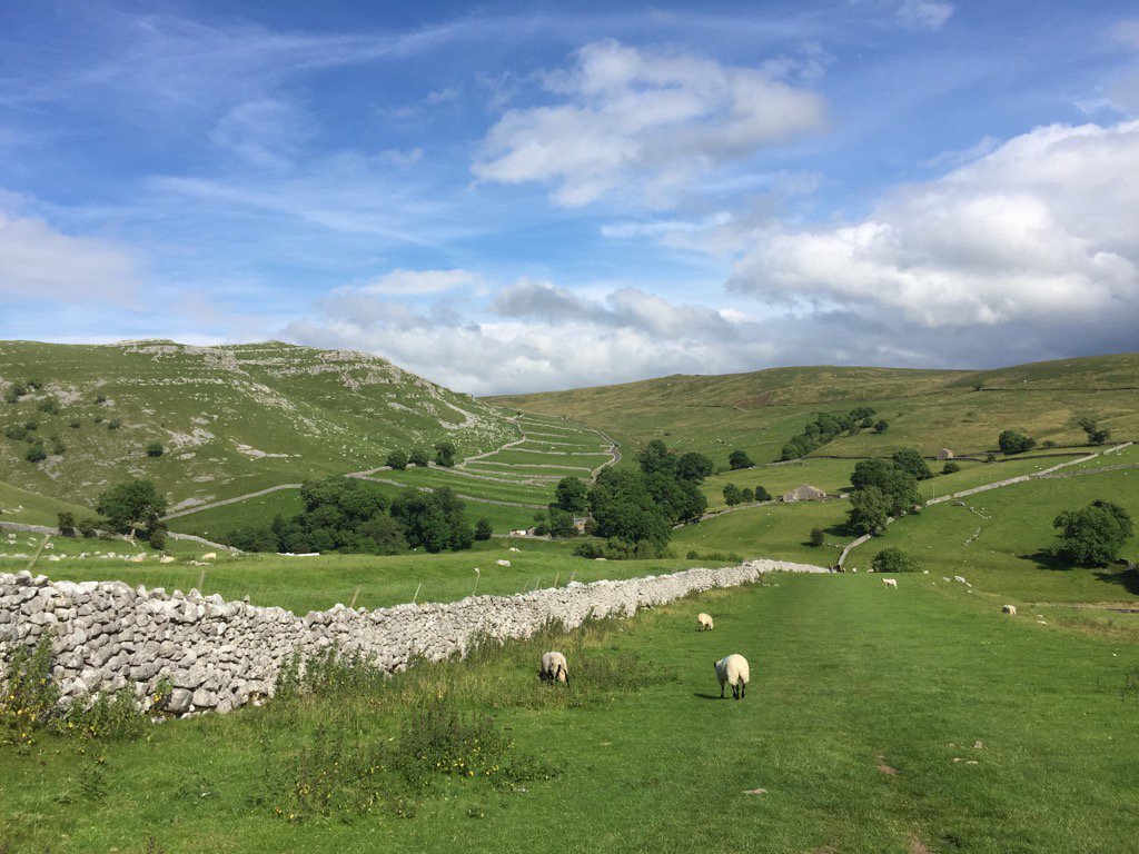 Realyorkshrtour's tweet photo. Malhamdale field enclosures #yorkshire #limestonecountry https://t.co/s5TTcgYQZE