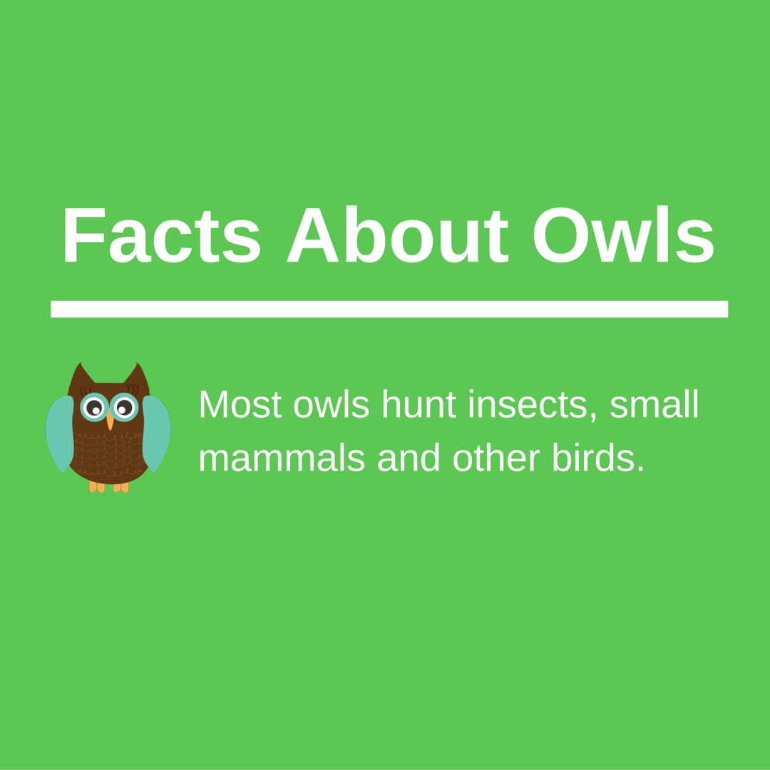 keepforests's tweet image. Share To Help Promote Awareness About Forest &amp;amp; Wildlife Conservation: KeepForests.com