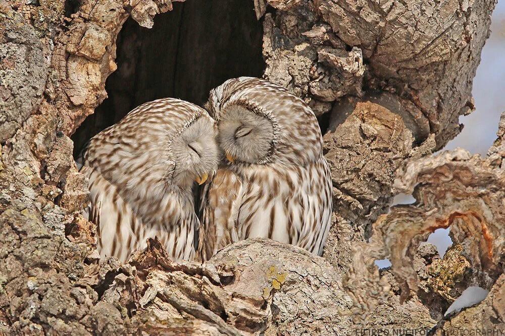 vinodch8560's tweet photo. @jamiewhittingh2 @TealHeather @leonalombaerts @MelindaYoe @FRISEEMYRIAM ty Jamie.. Gd night my sweet friend.😘💕 https://t.co/AiT98w0Tzn