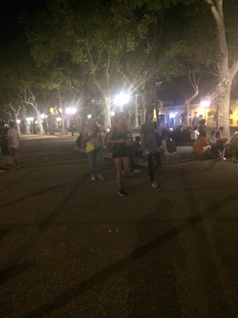 deotoons's tweet image. Ptin mais tout le monde joue a pkmn GO la nuit en fait !