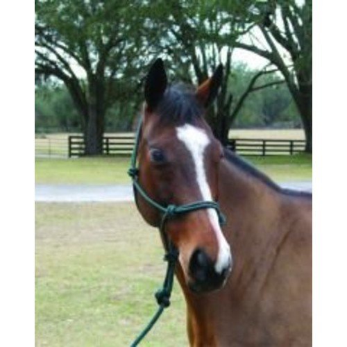 JayRuggers9's tweet photo. These are great if you're as forgetful as I am! No more forgetting to take the halter a o... https://t.co/meVJh6zWlZ https://t.co/C8pdnydulc