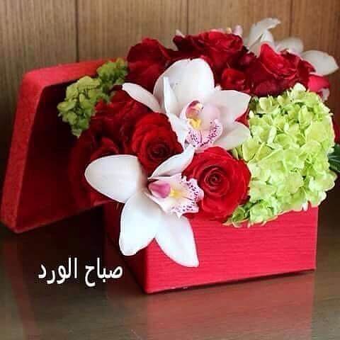 ᘓᓆↄg⅃Ȋ tweet media
