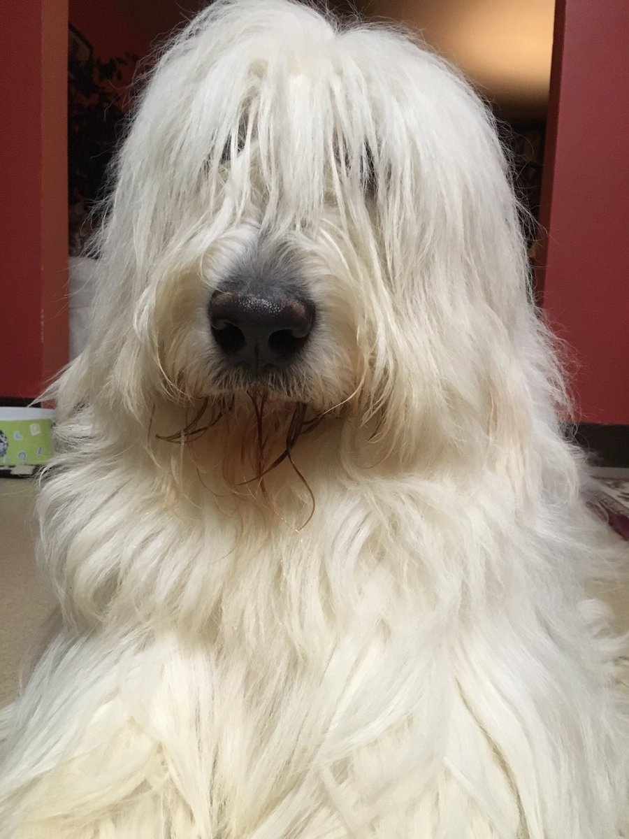 Deeverb's tweet image. I'm getting the "fuzzy eyeball".