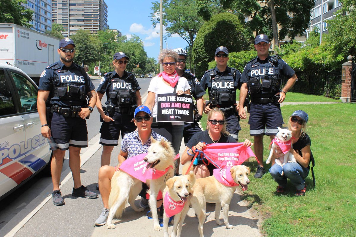 freekoreandogs's tweet photo. Toronto police and Korean rescue dogs during the Toronto protest against Korea's dog and cat meat trade on July 23. https://t.co/VP2Fhmgd1r