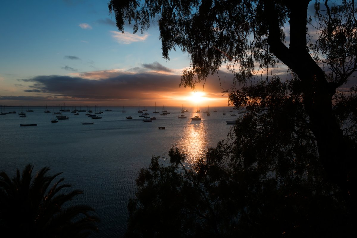 Good morning Geelong! 

#sunrise #westernbeach #beautifulmorning