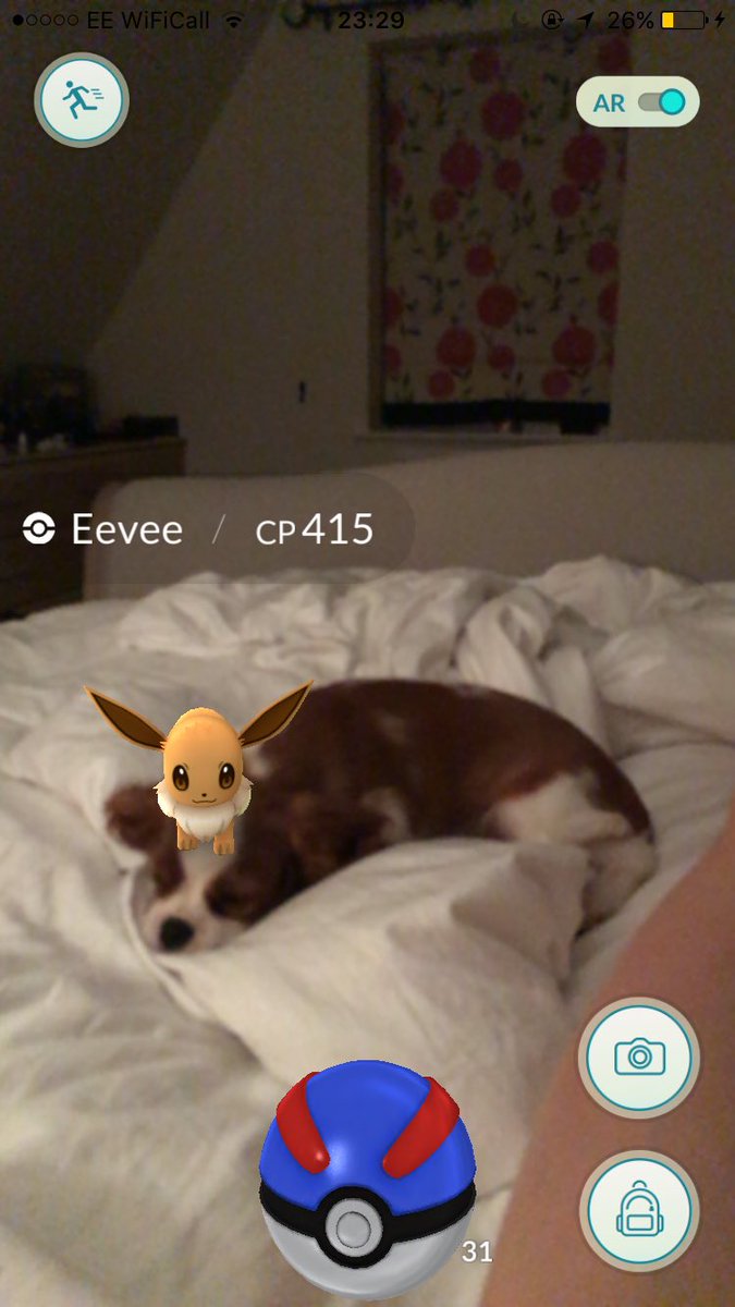 claresiobhan's tweet photo. Eevee babe you've got something on your head... 🙊 https://t.co/HZddCbiy36