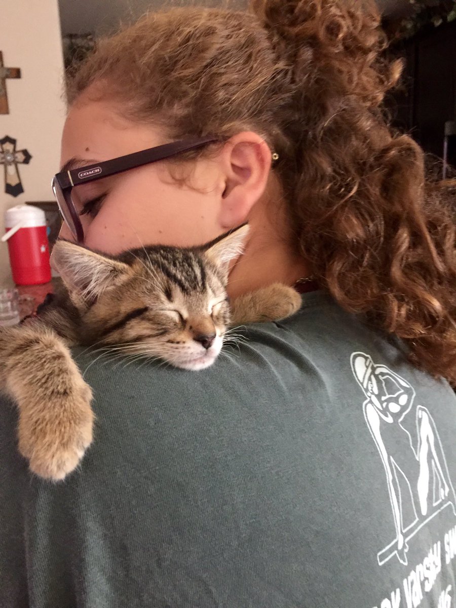 probably maddi🌼 tweet media