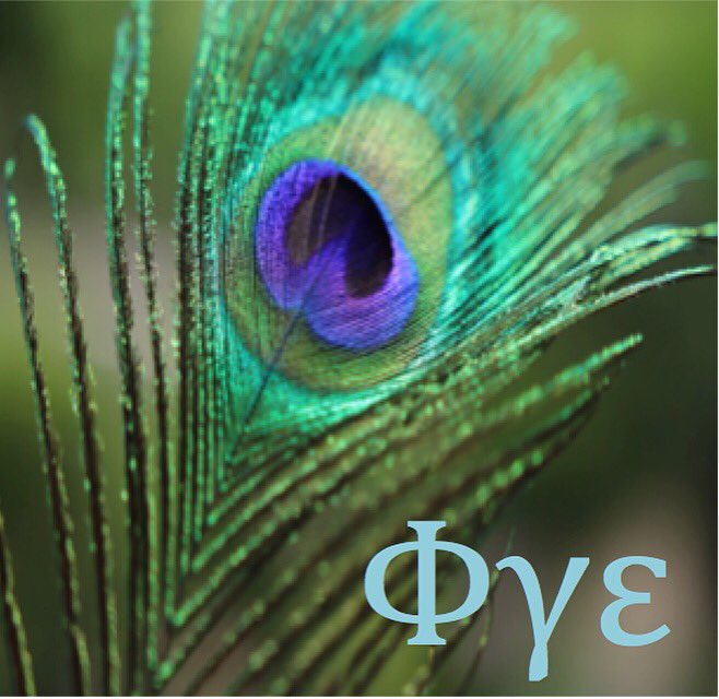 Camarada_AU's tweet image. Favorite this tweet if you're excited about recruiting Camarada in the fall! Excited to meet all our new peacocks!