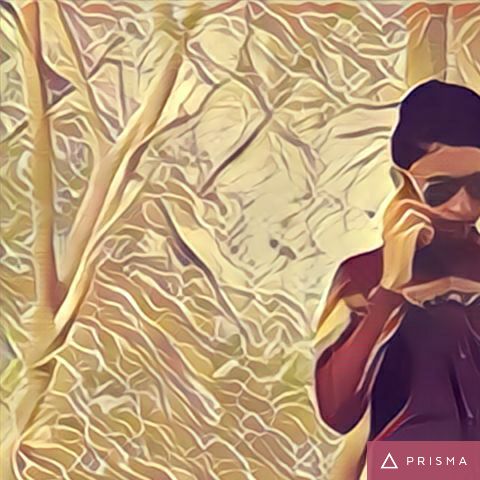 ialihafeez's tweet image. #Prisma #PrismaApp #CameraEffect #Camera #Effect