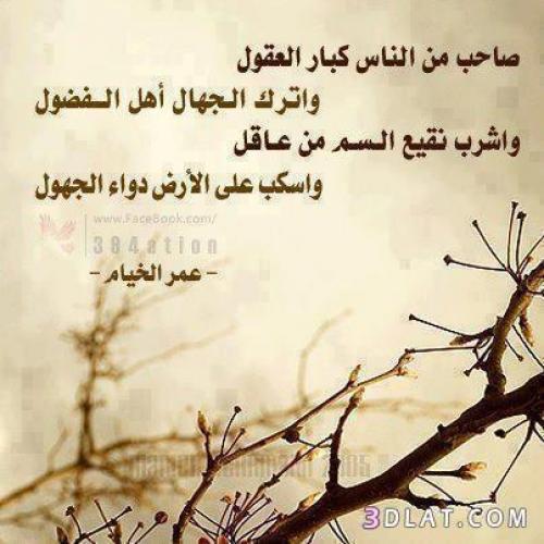 MyfAcademy's tweet photo. https://t.co/K8wxqi4tp4
