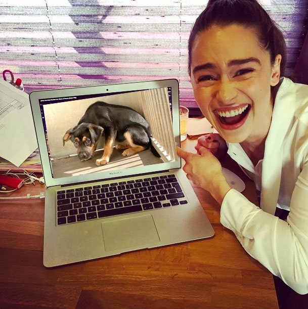 ExposingEmilia's tweet photo. Seen here laughing at dying puppies. Ableist. https://t.co/KrcYZkQ3CR