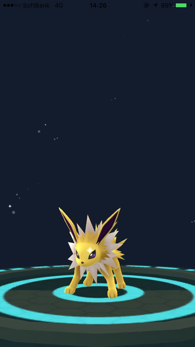 らずこ On Twitter イーブイの名前を変えると進化するポケモン変えられるって聞いて松岡修造で名前つけたらサンダースになっちゃった