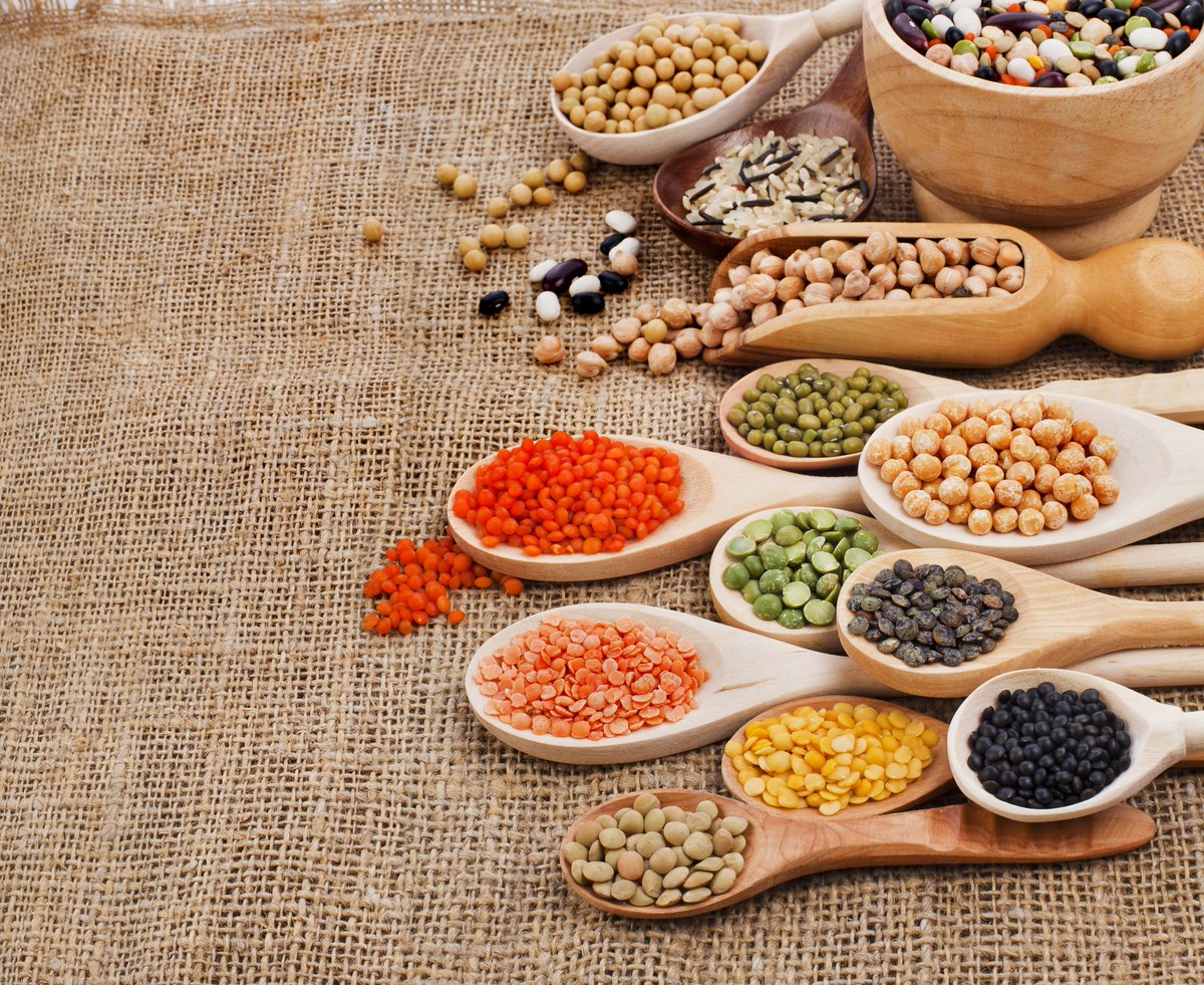 foodtank's tweet photo. Meatless Monday Tip: Pulses are an excellent sub for meat as they are high in protein, fiber, &amp; micronutrients! https://t.co/P6j2PJAw2z