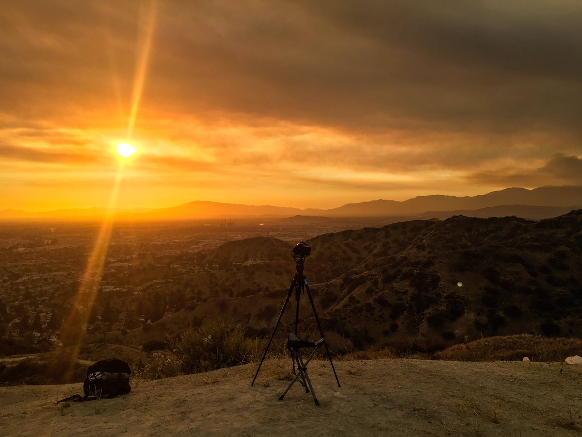 Los Angeles Pictures tweet media