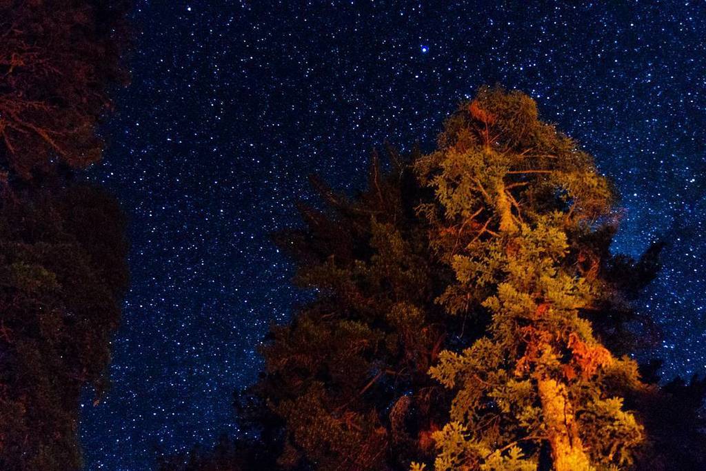 BlakeMurphy's tweet photo. Stars over our campsite #camping #camp #stars #campsetup #familyfun #family #familytime #f⦠https://t.co/ZlUlzt0G1i https://t.co/qXd8jdR40P