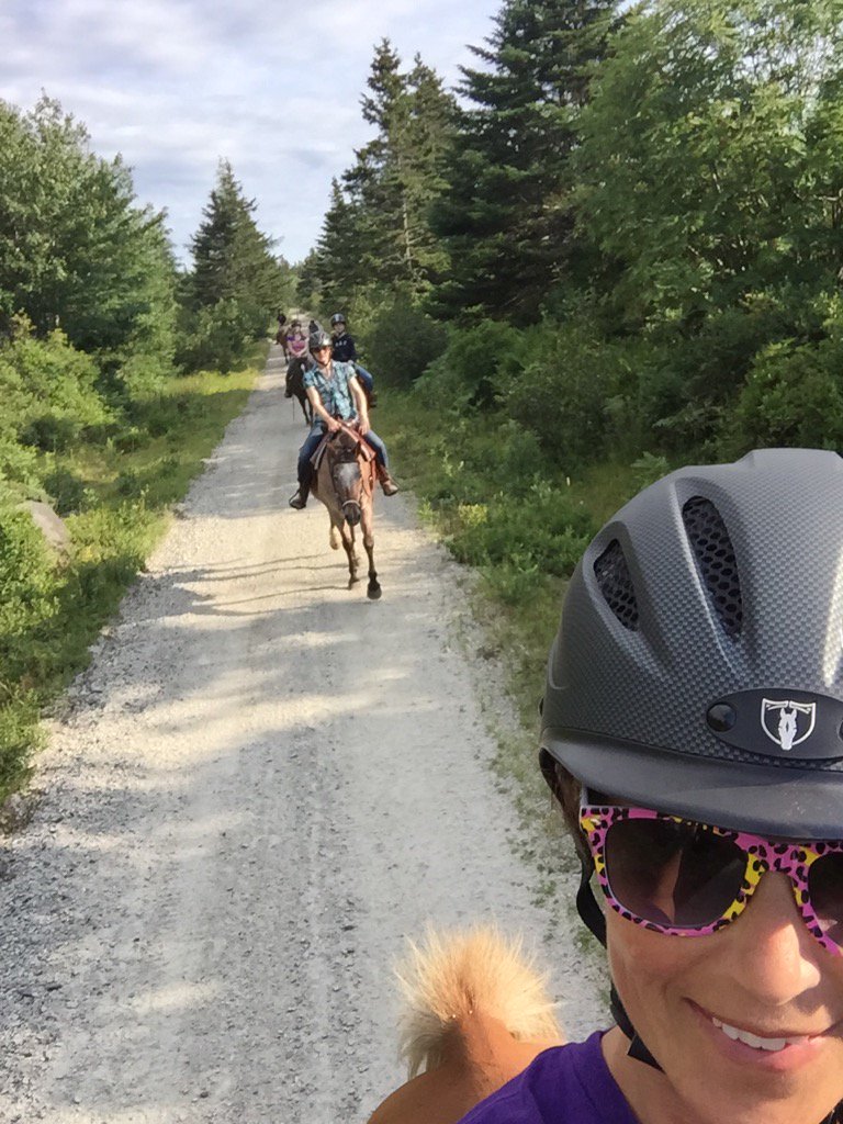 khovhorses's tweet photo. #experienceargyle on a horse ride in East Pubnico on the old railroad trail.fresh air,horses&beautiful ocean views! https://t.co/iHkLo9f5tx