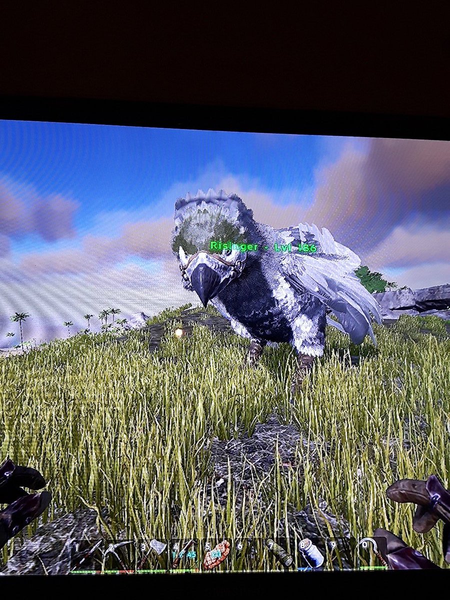 TheDinosaur_xox's tweet photo. Hey @JonRisinger ! I named my bird in ARK after you :) ❤ #risinger #ark #argentavis https://t.co/NCkxbMh6EQ