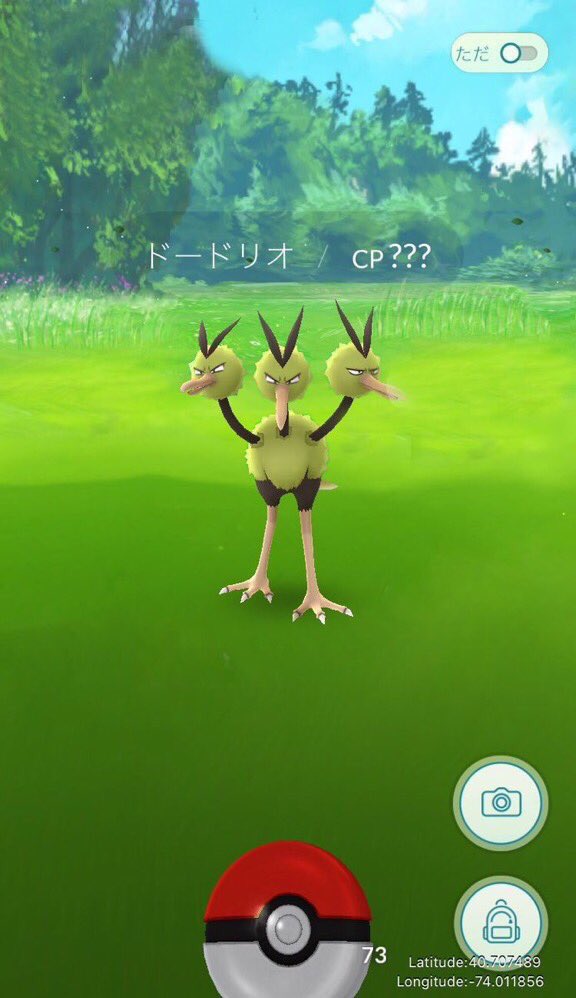 東洋大学 猫サークル Na Twitteru ポケモンgoに色違い出現 ポケモンの色違いかっこいいよね ポケモンgo