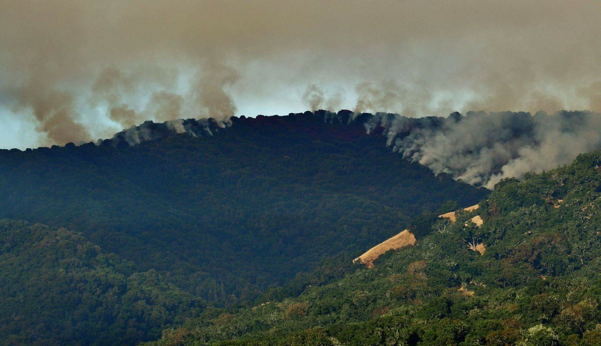 CALFIRE_PIO's tweet photo. Just In - The #SoberanesFire near Big Sur (Monterey County) is now 11,000 acres &amp; 5% contained. https://t.co/KRhqtiExIb