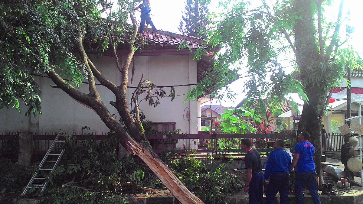 d_cafepur's tweet photo. Evakuasi pohon tumbang di daerah pasar senen @DediMulyadi71 @ama_jentreDKP @Kaharti_PWK https://t.co/5ZGLnbLvdP