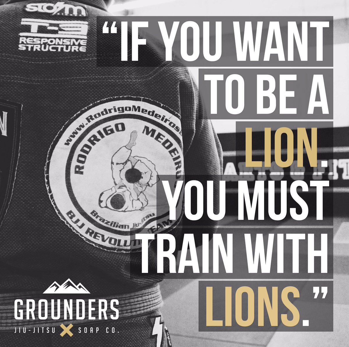 GroundersBJJ's tweet photo. "If you want to be a lion, train with lions." #bjj #jiujitsu https://t.co/xVmepjRe6M