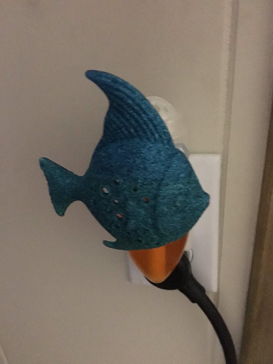 iamofortuna's tweet photo. This is what happens when you let your 2 year old pick your new plug in base #sparklyfish https://t.co/Din7ElS9RC