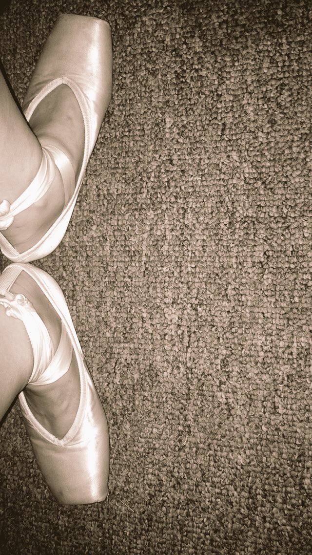 dancerpx's tweet image. plié