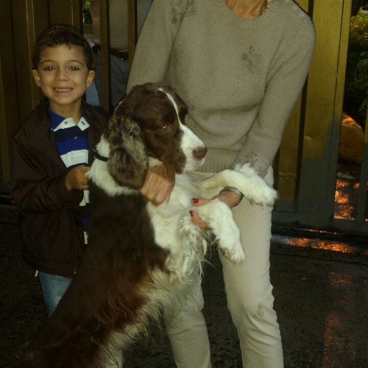 #FelizDomingo #reencuentrofeliz #esteriliza #MeridaCiudadBlanca #amor #voz #InformeEspecial #NAPDA. TOTO en su hogar