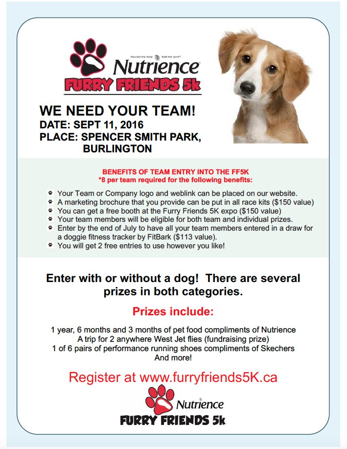 IRONDames's tweet image. Get a Team of 8 together for #BurlON @FurryFriends5k! Event supports @BurlHumane! raceroster.com/events/2016/77…