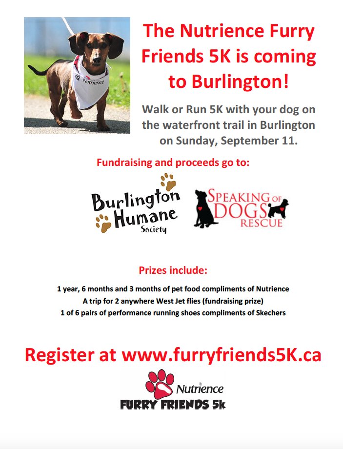 IRONDames's tweet image. Are you &amp;amp; your pup signed up for 1st Furry Friends 5K Sept 11 2016? Register today raceroster.com/events/2016/77…