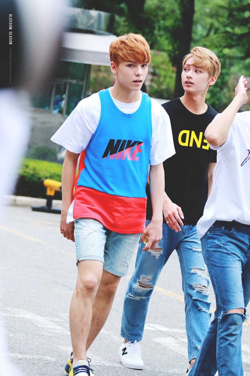 17hansolpics's tweet photo. Look at him :(((( he's so beautiful :((( https://t.co/NjQ8u3QDtI