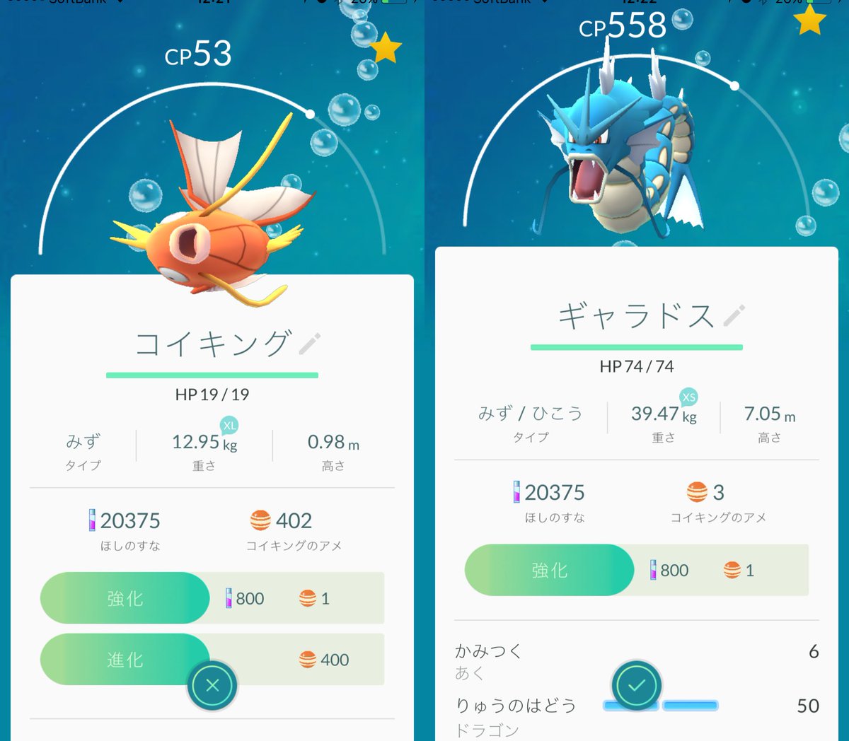コイキング100匹捕まえてやっとギャラドスに進化した。XLサイズ進化