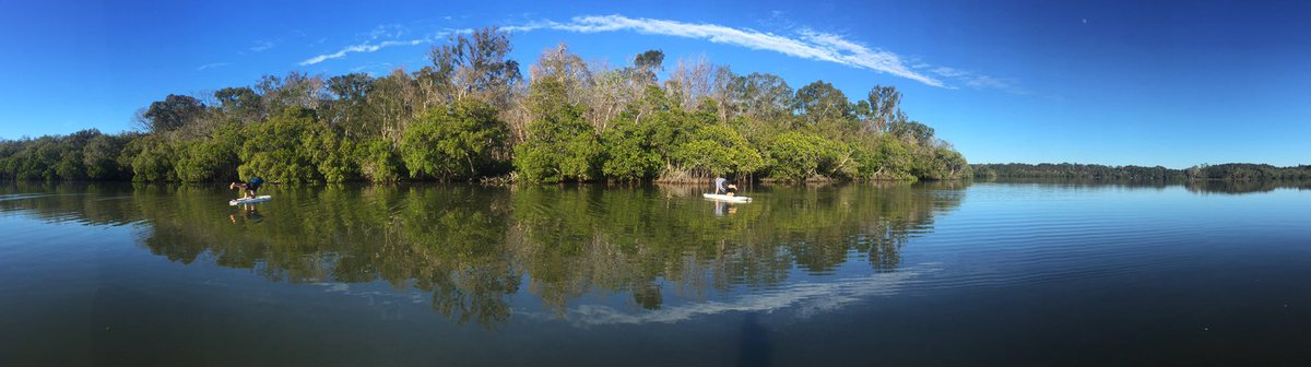 luxenoosa's tweet photo. Monday looks like... @luxenoosa #luxeescapesnoosa #visitnoosa #seeaustralia https://t.co/53N3CQ59W5