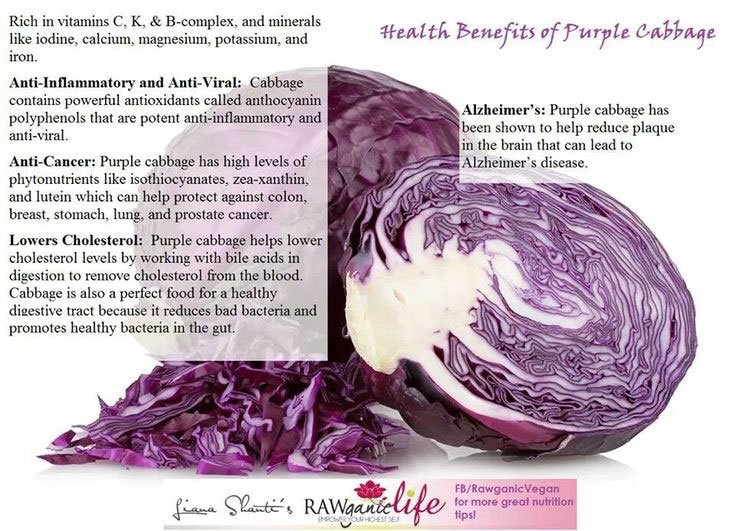 AHealthBlog's tweet image. Nutrients in the cabbage are helpful for improving #health of the brain ➡ aboutnutritionfacts.com/vdvo