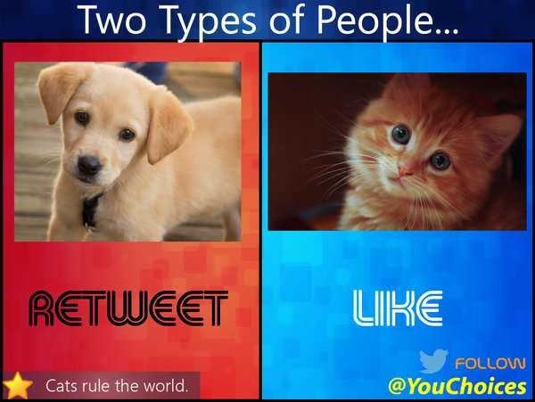 YouChoices tweet picture