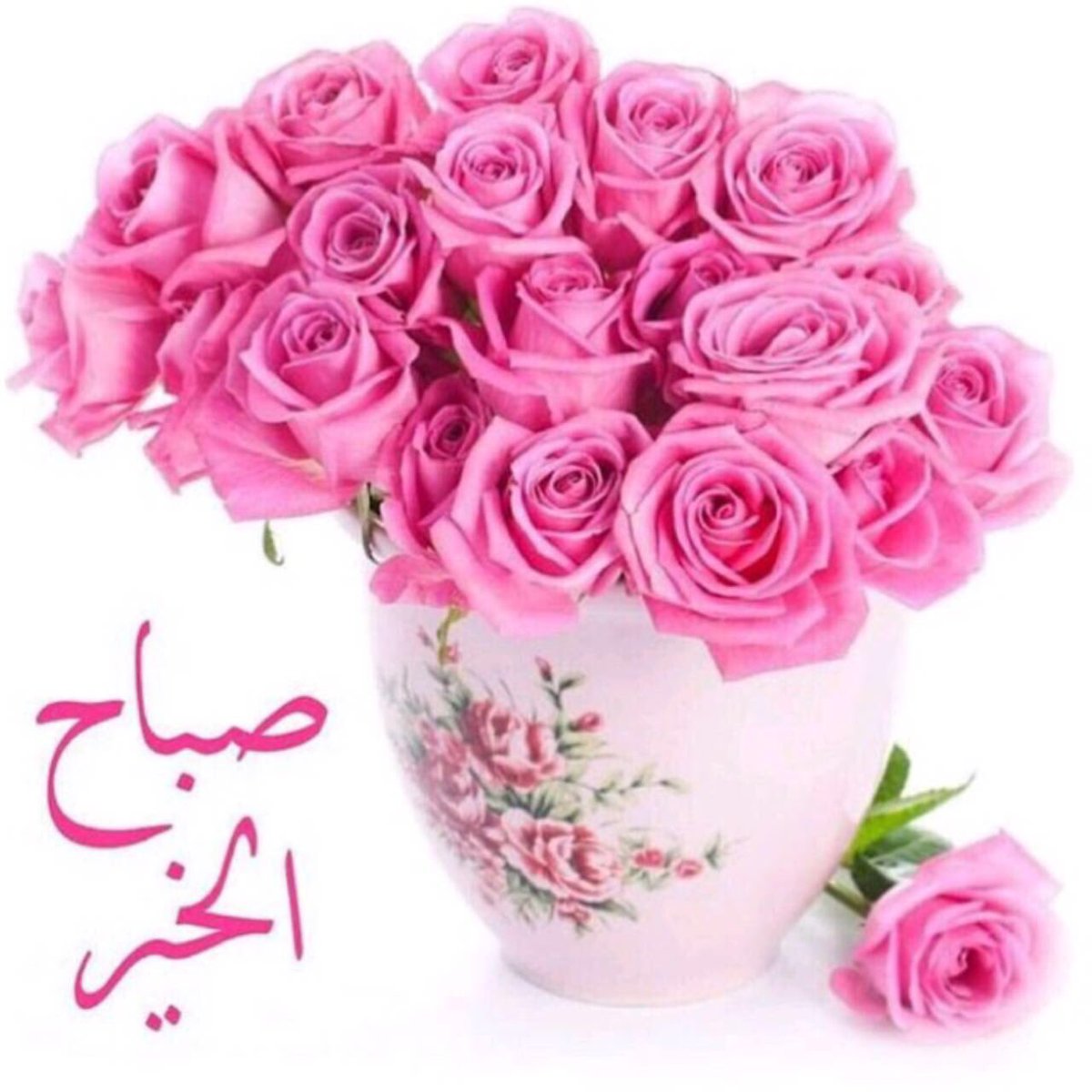 laila_yousef71's tweet photo. @nnajjmaa صباح الورد نجمة https://t.co/MTeWpLZLXu