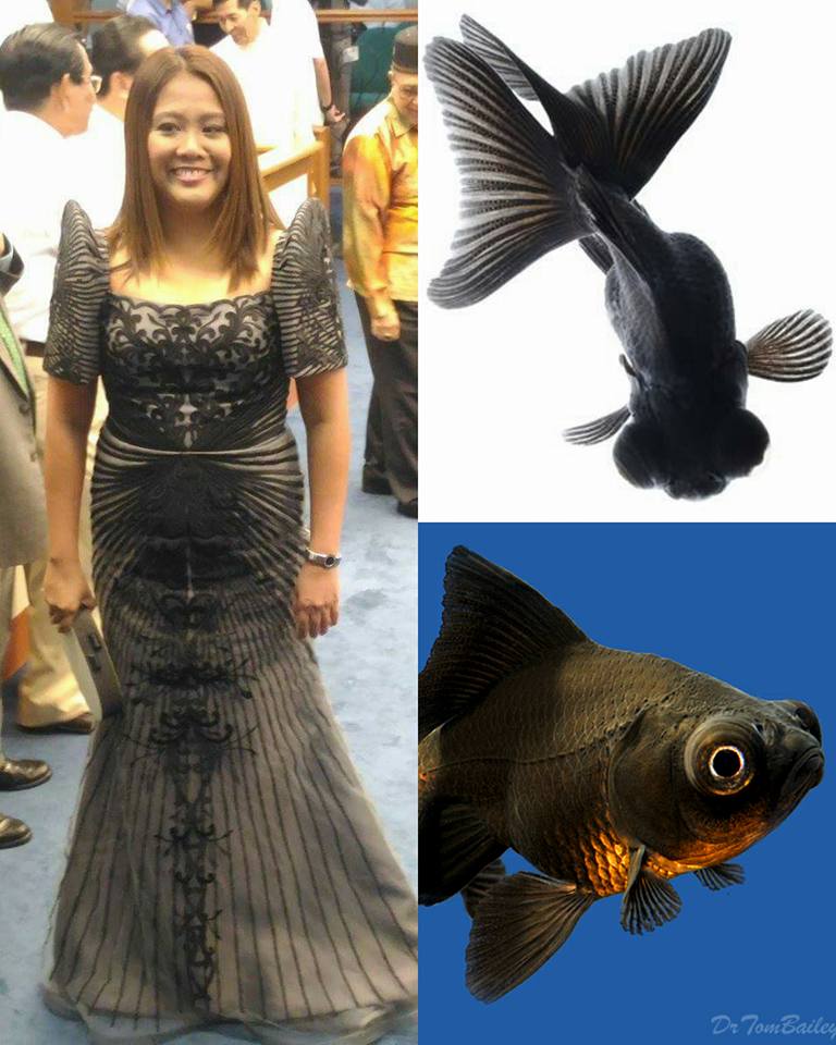 junjunskie2010's tweet photo. lol!

© photo to the owner!
#SONA2016 https://t.co/2dkOrB4VrD
