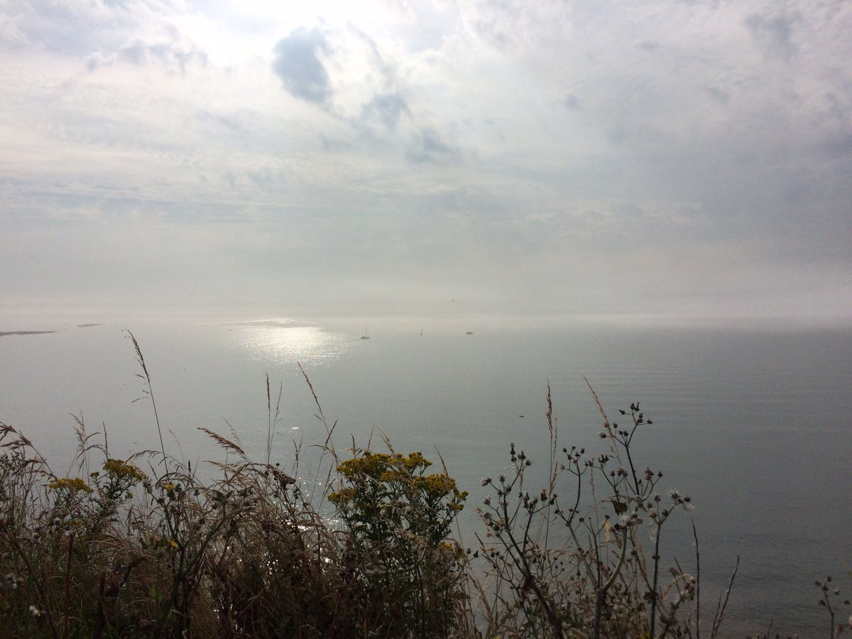 stayinfiley's tweet photo. ✨PIC OF THE DAY✨ #Filey gonna be a corker ☀️☀️ https://t.co/OYKBhF3aEd