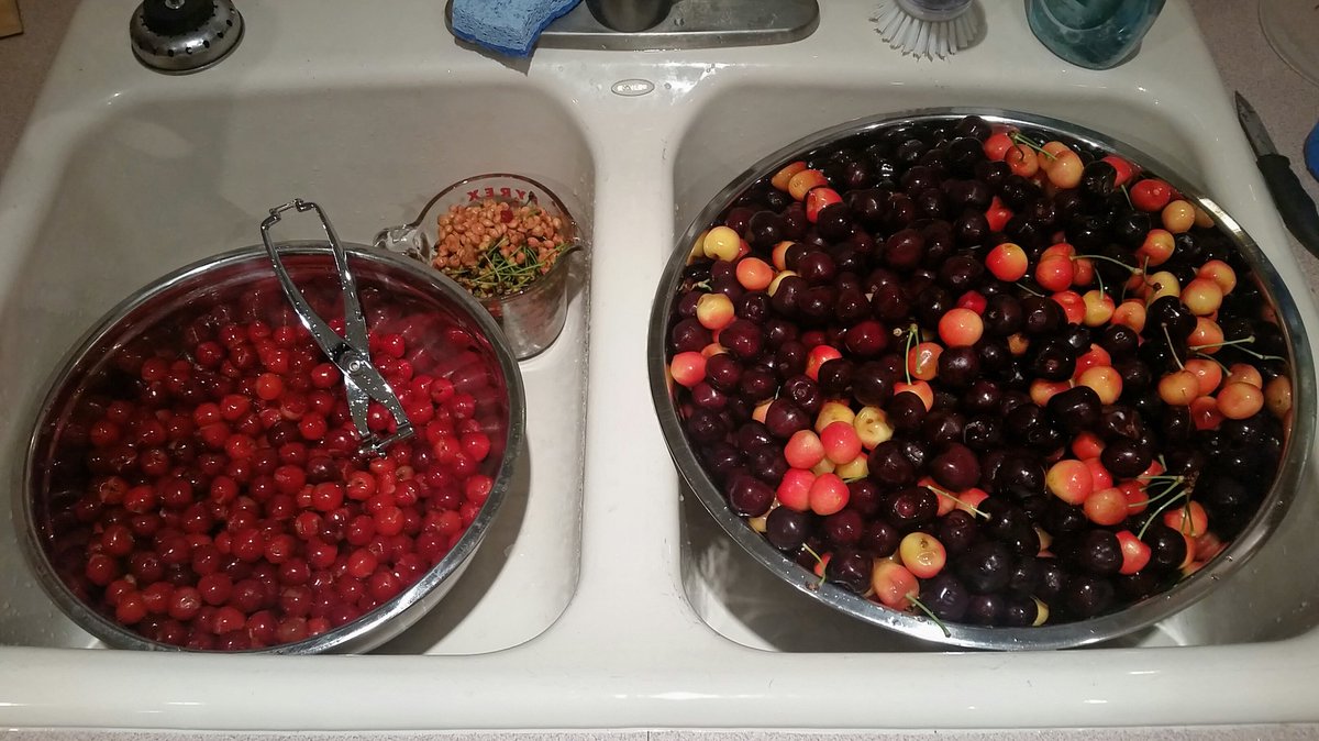 filbertman's tweet photo. pitted eight pounds of Door County cherries.  Only sixteen pounds left to go... @Laurelai1004 https://t.co/zTpAJVm8iD