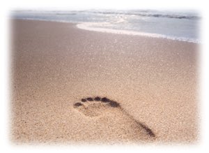 맘껏
나아가고 싶을 때
한 걸음 물러서는 것..

그리고

나아가기 두려울 때
단호히
한 걸음 내 딛는 것..

한 걸음이란
이렇게
생명이 담긴 그 무엇입니다..